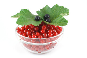 Many  red currant and black currant  three in a glass bowl