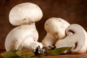 Champignon freschi