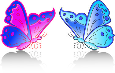Butterfly Collection