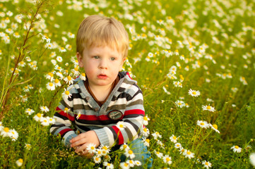 auf der Blumenwiese