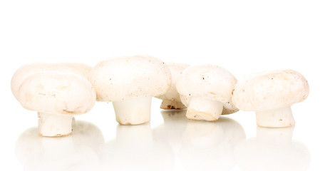 fresh mushrooms isolated on white