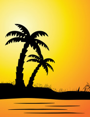 Tropical beach sunset