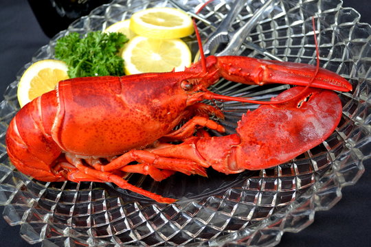 Delicious Cooked Lobster