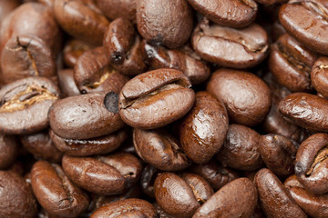 Black Organic Coffee Beans
