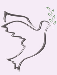 Dove Peace