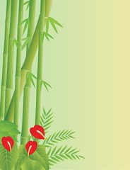 tropical bamboo background