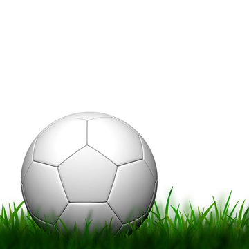3D Football  in green grass on white background