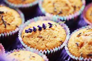 lavender muffins