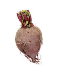 Young red beet isolated on white