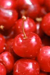 cherry selection
