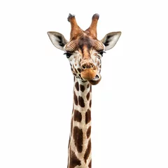 Fotobehang Grappig girafgezicht © Alex Hubenov