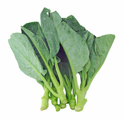 Chinese kale vegetable