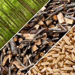 Wood pellet production collage