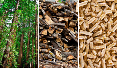 Wood pellet production collage