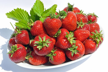 Schale mit frischen Erdbeeren