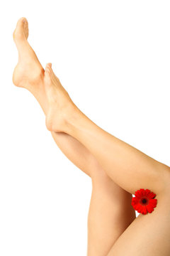 rasierte Frauenbeine  mit Bl&uuml;te