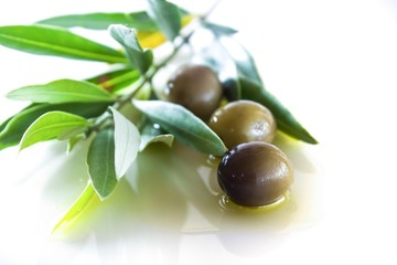 olives and oil with leaves