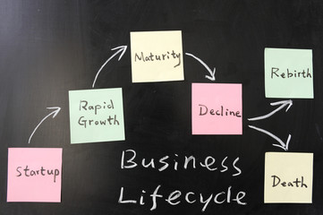 Business lifecycle  concept
