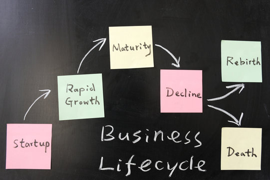 Business Lifecycle  Concept