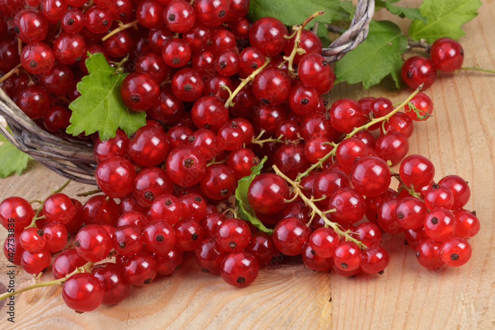 Sticker fresh red currants with leaves on.wood background