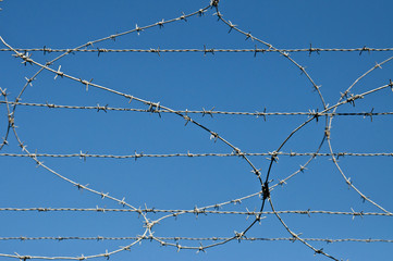 Barbed wire