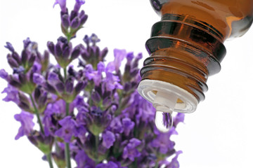 tropfen mit lavendel