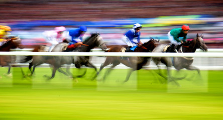 Royal Ascot Horse Race - obrazy, fototapety, plakaty