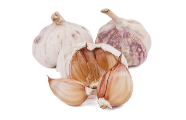 garlic isolated