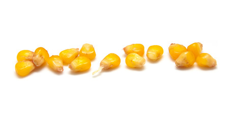 yellow corn grain on white background