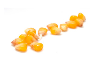 yellow corn grain on white background