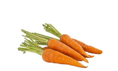 fresh carrots isolated