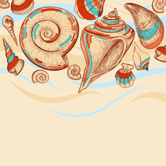 Beach vector background with sea shells