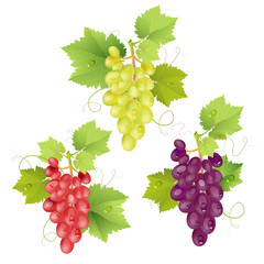 Three cluster of grapes