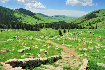 Mongollische Landschaft