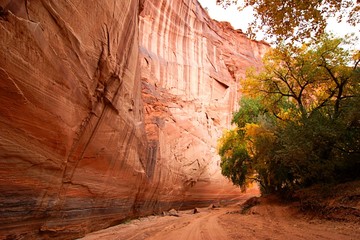 Canyon de Chelly National Park in Arizona