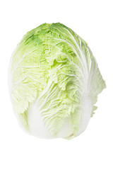 Fototapeta premium Chinese cabbage on white background
