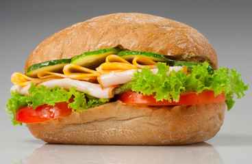 Sanwich with chiken and cheese