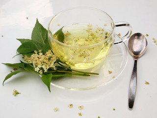 Holunderblüten  + Holunderblütentee