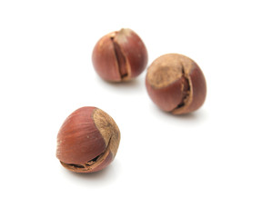 hazelnuts on a white background