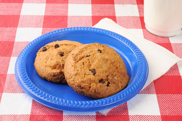 Chocolate chip cookies