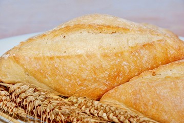 pane e spighe di grano