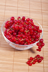 rote Johannisbeeren im Glas