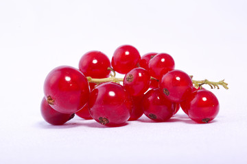 rote Johannisbeeren