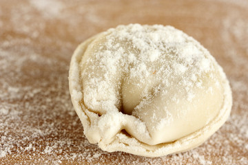 Raw Dumpling on wooden background close-up