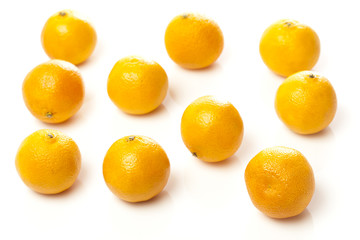 Ripe and Fresh Mandarin Orange