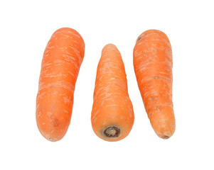 Carrots isolated on white