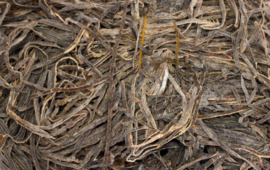 dried seaweed as background