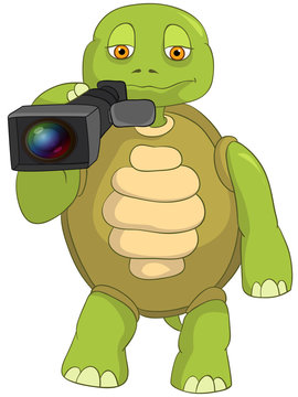 Funny Turtle. Cameraman.