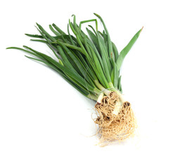 Green onions, photo on the white background