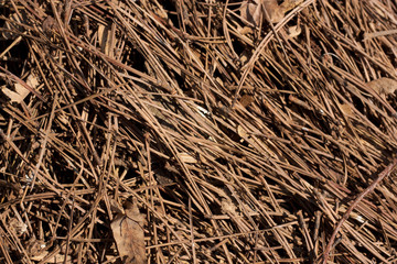 straw as a background